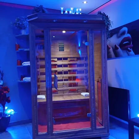 לינה וארוחת בוקר Privatif Dydy's Saint Amand Les Eaux 4*