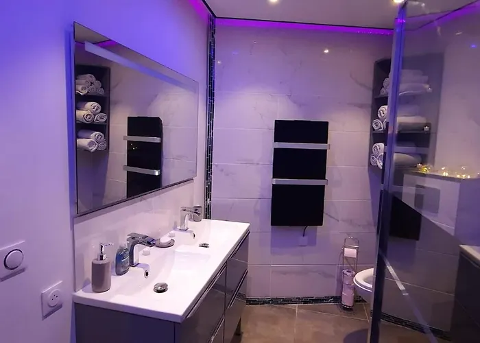 Privatif Dydy's Saint Amand Les Eaux 4* Lecelles