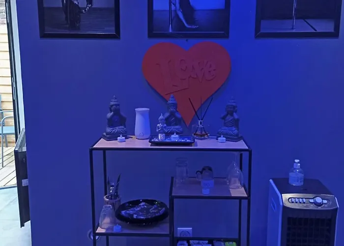 Privatif Dydy's Saint Amand Les Eaux