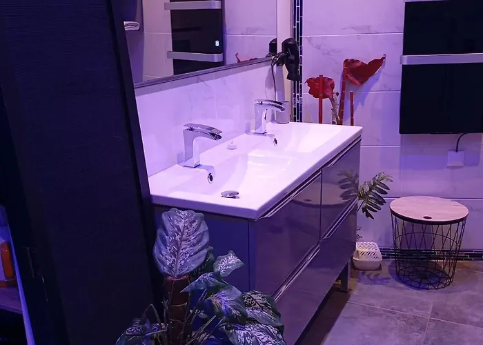 Bed & Breakfast Privatif Dydy's Saint Amand Les Eaux