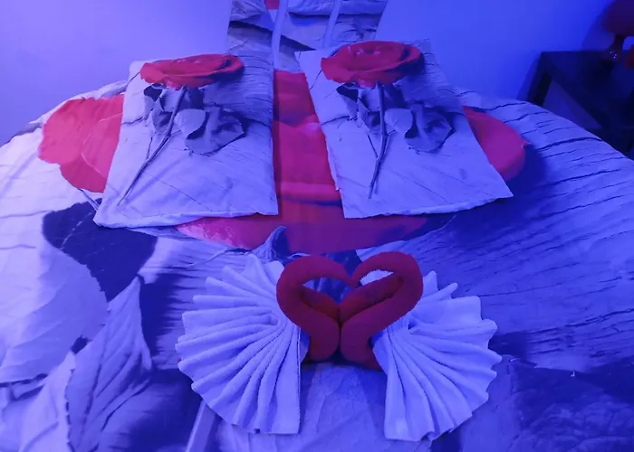 Privatif Dydy's Saint Amand Les Eaux Lecelles